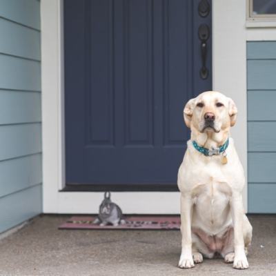 January 30- February&nbsp;5